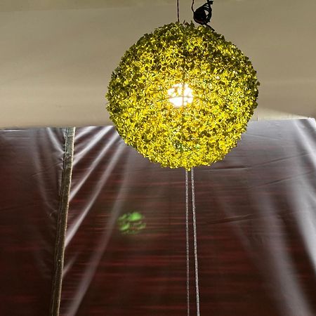 Rukmani Villas Group Of Rukmani Home Stay Mathura Buitenkant foto